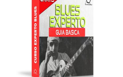 Experto en Blues (5€ Donativo PDF)