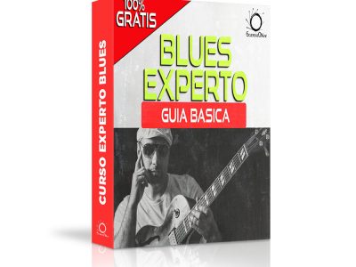 Experto en Blues (5€ Donativo PDF)